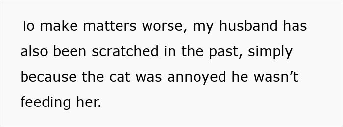 Woman Asks, "AIBU To Expect My SIL To Keep Her Aggressive Cat Away During Xmas?" Woman Asks, "AIBU To Expect My SIL To Keep Her Aggressive Cat Away During Xmas?"