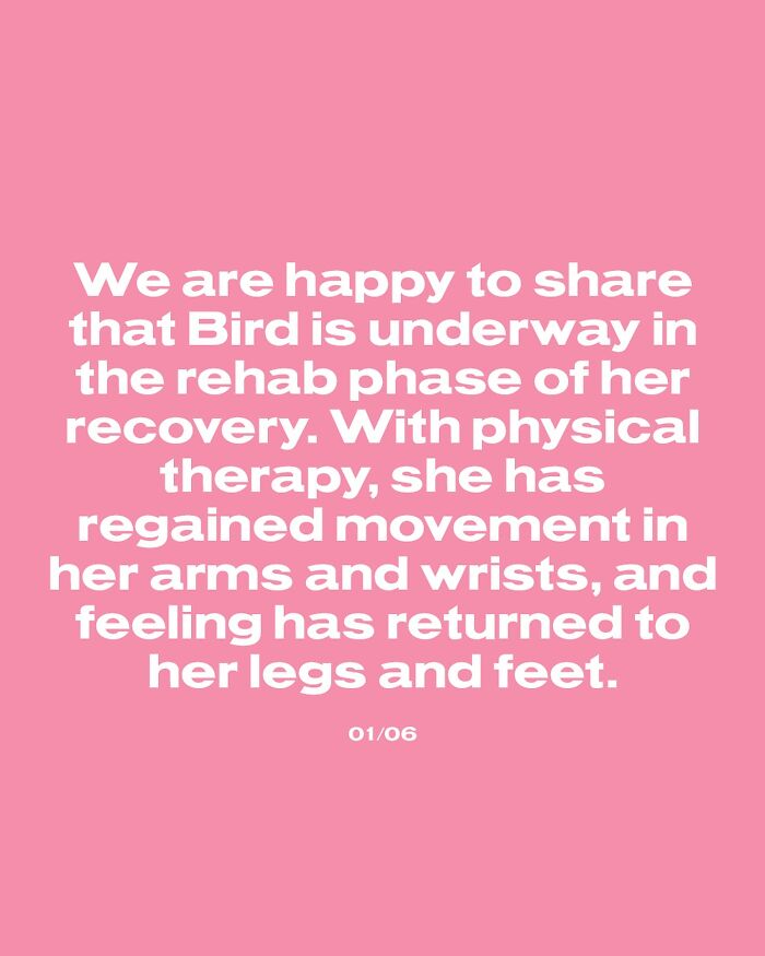 24YO Fan Paralyzed After Punk Rock Star Dove On Her During A Concert Files Lawsuit 24YO Fan Paralyzed After Punk Rock Star Dove On Her During A Concert Files Lawsuit