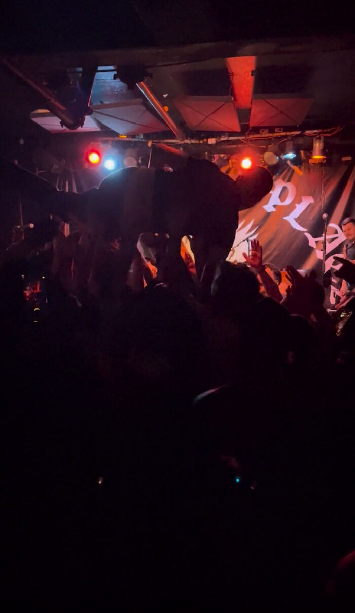 24YO Fan Paralyzed After Punk Rock Star Dove On Her During A Concert Files Lawsuit 24YO Fan Paralyzed After Punk Rock Star Dove On Her During A Concert Files Lawsuit