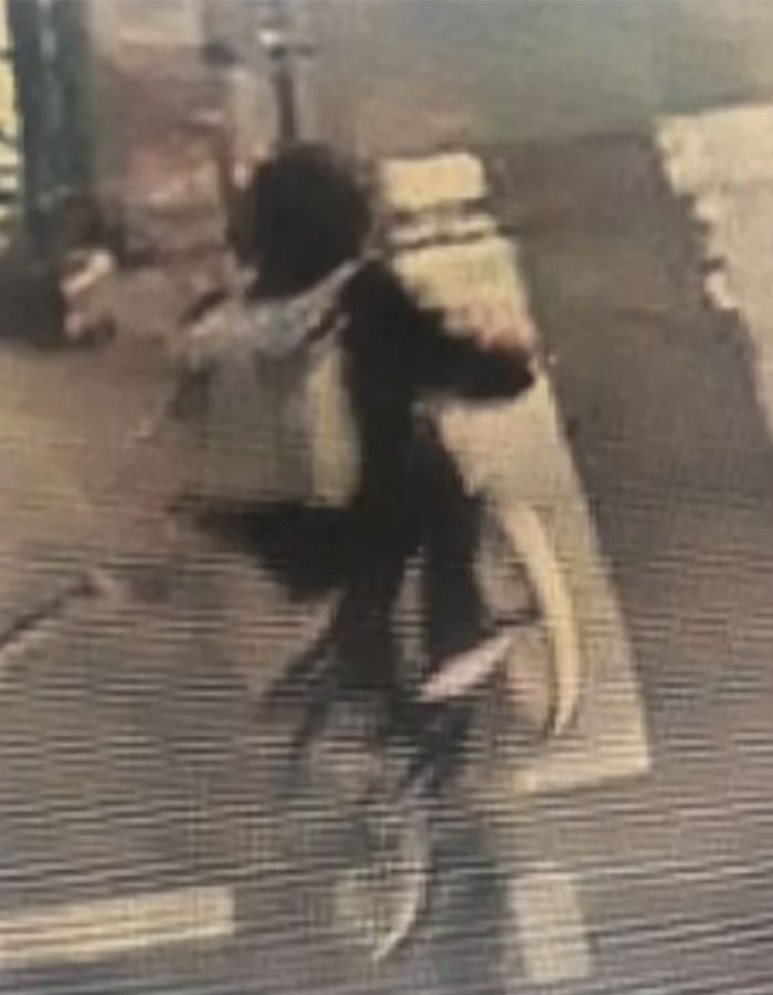 CEO Brian Thompson Assassinated In Broad Daylight, Netizens Speculate “Professional Hit” CEO Brian Thompson Assassinated In Broad Daylight, Netizens Speculate “Professional Hit”