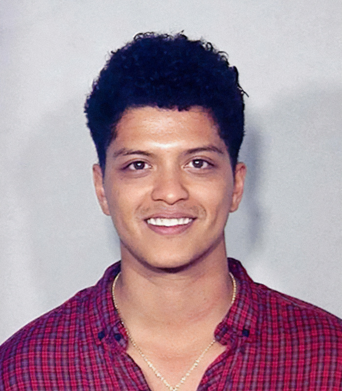 Bruno Mars in a plaid shirt, representing the trend of viral mugshots of heartthrobs. Bruno Mars in a plaid shirt, representing the trend of viral mugshots of heartthrobs.