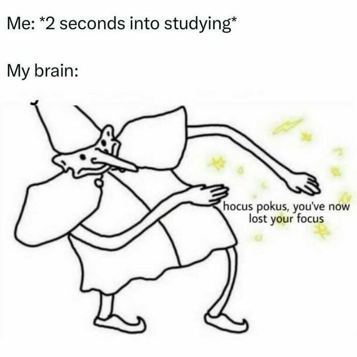 Science memes illustration of a wizard, captioned "hocus pocus, you've now lost your focus" during a study session.
