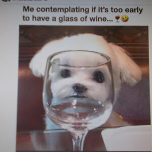 dglendinning6 avatar