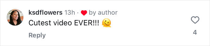 2YO Suddenly Realizes His Mom Is The Bride—His "Heart-Melting" Reaction Is Winning The Internet 2YO Suddenly Realizes His Mom Is The Bride—His "Heart-Melting" Reaction Is Winning The Internet