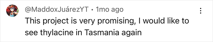 User comment about reviving thylacines in Tasmania, inspired by extinction solutions. User comment about reviving thylacines in Tasmania, inspired by extinction solutions.