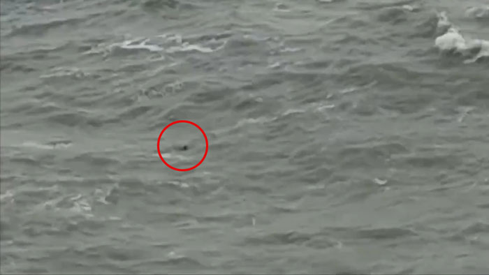 Actress Tragically Swept Away By Giant Wave While Meditating On Yoga Mat On Cliffside Beauty Spot Actress Tragically Swept Away By Giant Wave While Meditating On Yoga Mat On Cliffside Beauty Spot