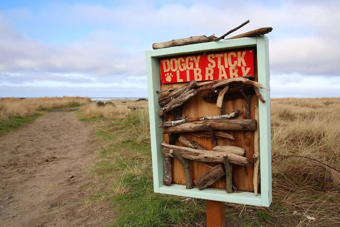 Dog stick library on a grassy path, featuring collected sticks for dogs to enjoy. Dog stick library on a grassy path, featuring collected sticks for dogs to enjoy.