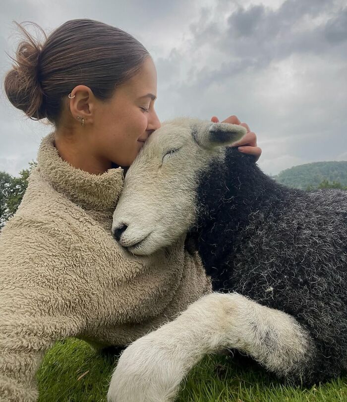 Woman affectionately hugging a sheep outdoors, showcasing a unique bond and unseen side of sheep. Woman affectionately hugging a sheep outdoors, showcasing a unique bond and unseen side of sheep.