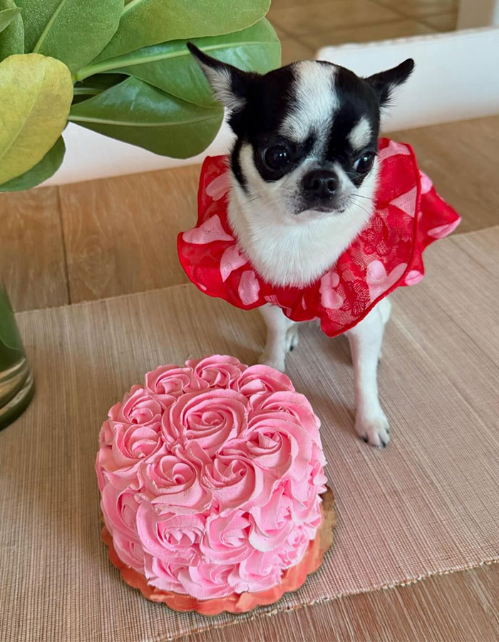 Sofía Vergara's Topless Beach Pic Has Fans Gushing Over Her Curves: "Imagine Waking Up To That" Sofía Vergara's Topless Beach Pic Has Fans Gushing Over Her Curves: "Imagine Waking Up To That"