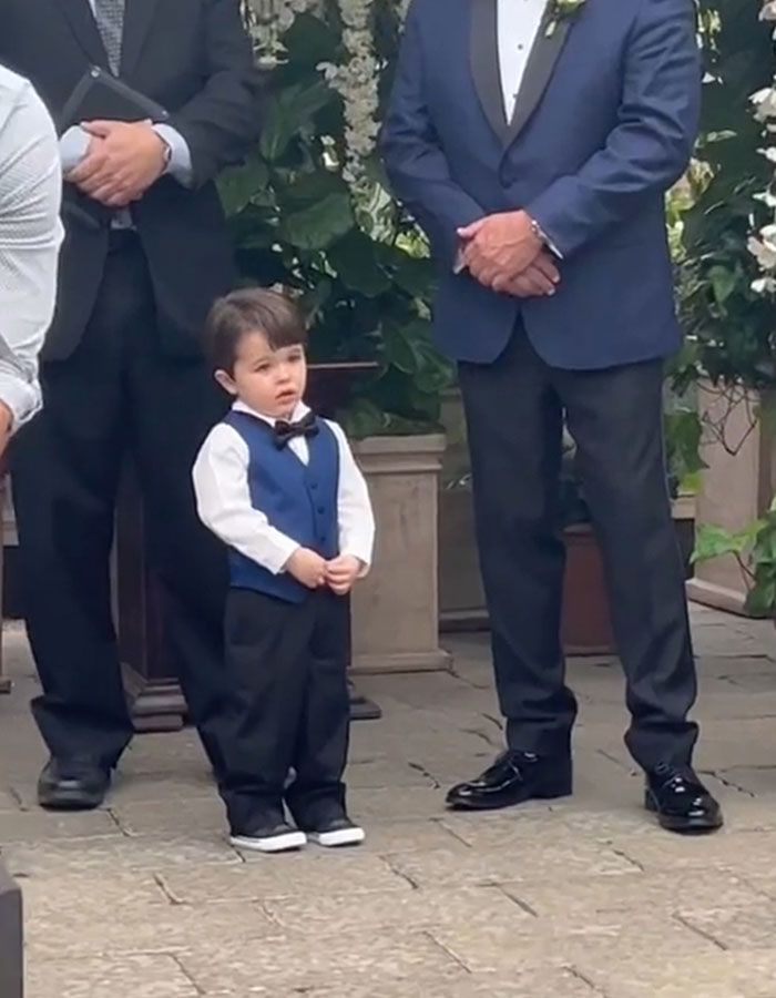 2YO Suddenly Realizes His Mom Is The Bride—His "Heart-Melting" Reaction Is Winning The Internet 2YO Suddenly Realizes His Mom Is The Bride—His "Heart-Melting" Reaction Is Winning The Internet