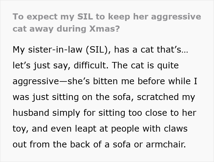 Woman Asks, "AIBU To Expect My SIL To Keep Her Aggressive Cat Away During Xmas?" Woman Asks, "AIBU To Expect My SIL To Keep Her Aggressive Cat Away During Xmas?"