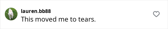 Instagram comment by lauren.bb88: 'This moved me to tears' on Abigail Breslin's post. Instagram comment by lauren.bb88: 'This moved me to tears' on Abigail Breslin's post.