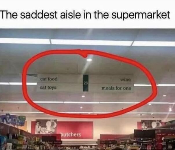 Weird sign in supermarket aisle labeled with cat food, toys, wine, and meals for one circled in red.