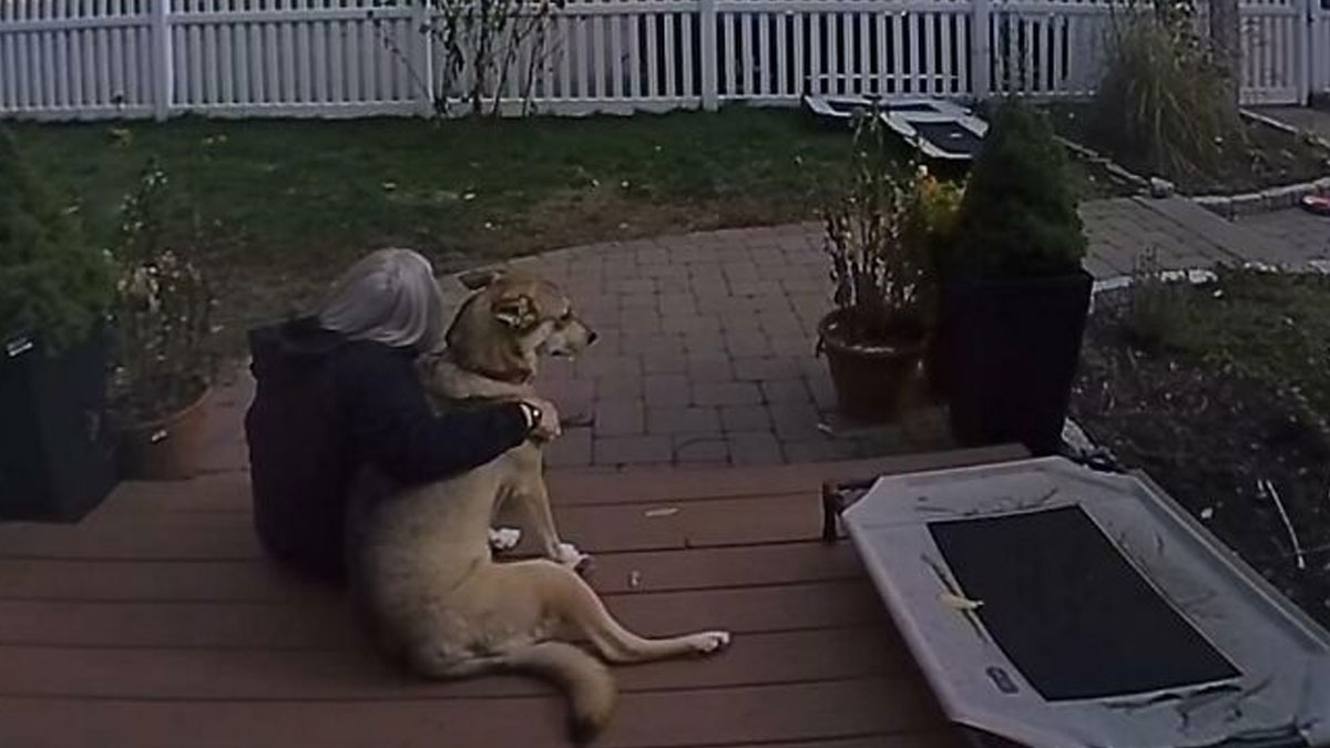 People Share The Cutest And Most Wholesome Things Their MIL Has Done (50 New Posts)