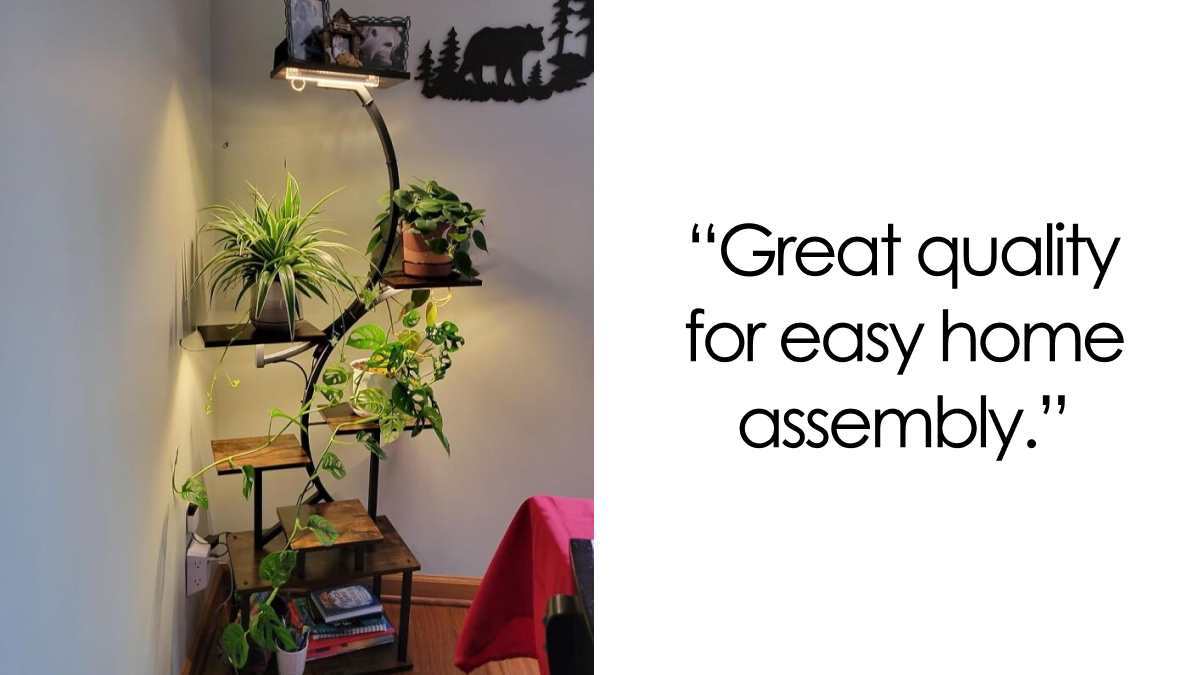 Christmas Countdown: 24 Amazon Gifts That’ll Arrive Just In Time