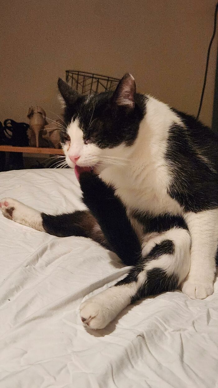 Turnip Has Unorthodox Bathtime Technique