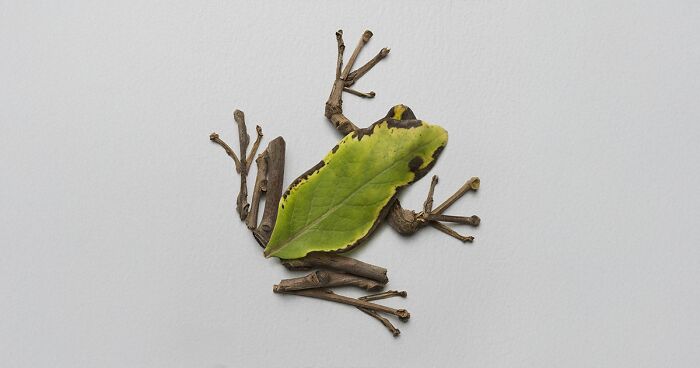 Raku Inoue Brings Animals To Life With Flower Arrangements (57 New Pics ...