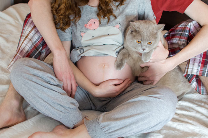 Pregnant woman in pajamas holding her cat while sitting on bed, focusing on pet care. Pregnant woman in pajamas holding her cat while sitting on bed, focusing on pet care.