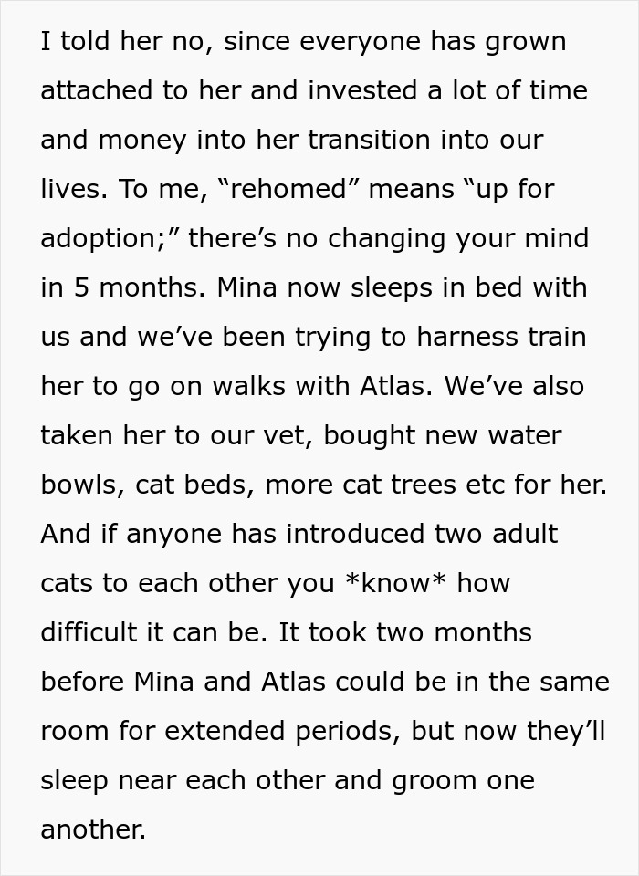 Text describing challenges of rehoming a cat and adjusting to a new environment. Text describing challenges of rehoming a cat and adjusting to a new environment.