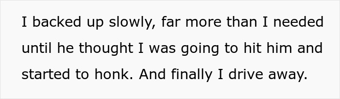Text excerpt of a slow-motion grocery loading at Costco with an irritated driver honking. Text excerpt of a slow-motion grocery loading at Costco with an irritated driver honking.