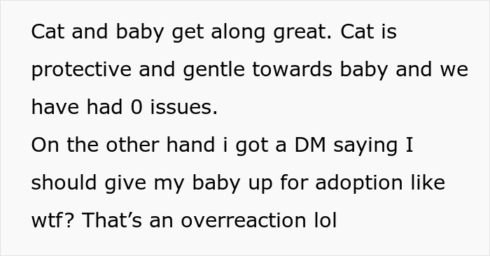 Text about the relationship between the cat and baby, with a reaction to an extreme comment. Text about the relationship between the cat and baby, with a reaction to an extreme comment.