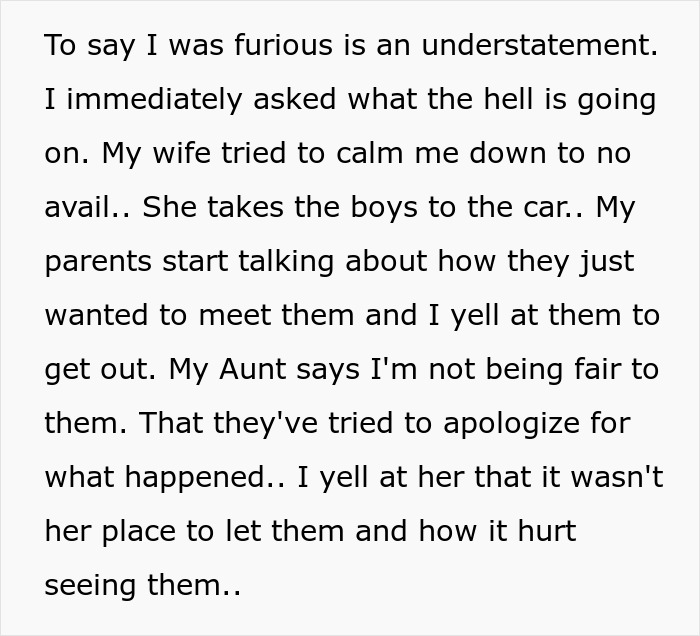 Text discussing drama between an aunt, nephews, and grandparents, highlighting family tension and emotional reactions. Text discussing drama between an aunt, nephews, and grandparents, highlighting family tension and emotional reactions.