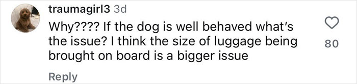 Handler Of Super-Sized Pooch He Brought On Airplane As “Emotional Support” Gets Reality Check Handler Of Super-Sized Pooch He Brought On Airplane As “Emotional Support” Gets Reality Check