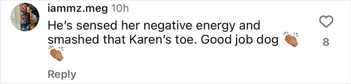 Handler Of Super-Sized Pooch He Brought On Airplane As “Emotional Support” Gets Reality Check Handler Of Super-Sized Pooch He Brought On Airplane As “Emotional Support” Gets Reality Check