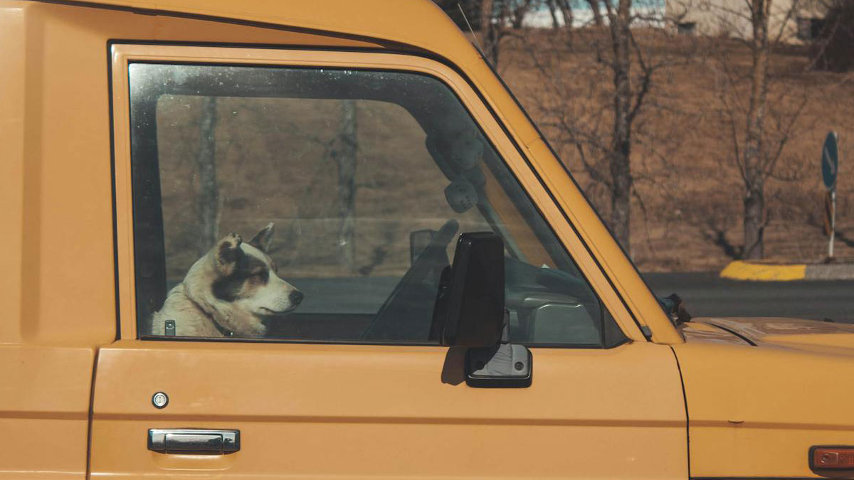 30 Sad And Wild Casino Secrets People Discovered After Working In A Casino