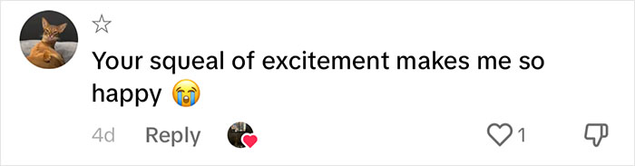 Pizzeria In Chicago Opens Doggie Treat Window, Goes Viral Due To The Most Wholesome Interactions Pizzeria In Chicago Opens Doggie Treat Window, Goes Viral Due To The Most Wholesome Interactions