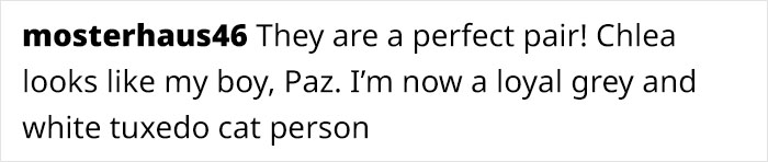Comment about dog and cat, perfect pair, and love for a tuxedo cat. Comment about dog and cat, perfect pair, and love for a tuxedo cat.