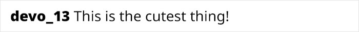 Comment on pet interaction: "This is the cutest thing!" from user devo_13. Comment on pet interaction: "This is the cutest thing!" from user devo_13.