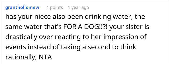 Text comment discussing a niece drinking dog water and overreaction. Text comment discussing a niece drinking dog water and overreaction.