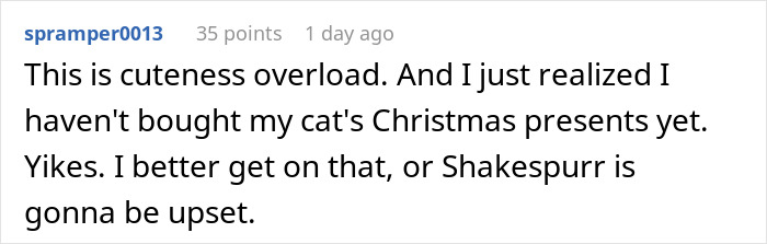 A social media post humorously mentions forgetting to buy Christmas gifts for a cat named Shakespurr. A social media post humorously mentions forgetting to buy Christmas gifts for a cat named Shakespurr.