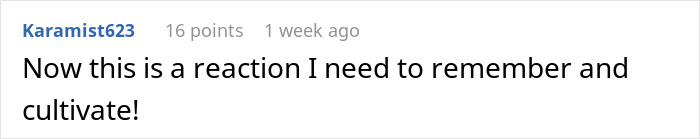 Reddit comment by user Karamist623 praising an outspoken woman's reaction. Reddit comment by user Karamist623 praising an outspoken woman's reaction.