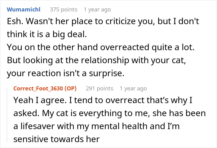 Online discussion about new mom balancing baby and cat responsibilities. Online discussion about new mom balancing baby and cat responsibilities.