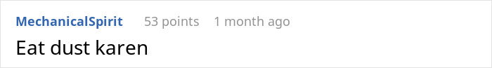 Reddit comment saying "Eat dust Karen," highlighting petty revenge in a discussion. Reddit comment saying "Eat dust Karen," highlighting petty revenge in a discussion.