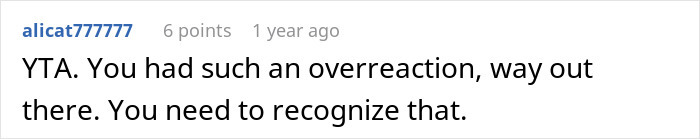 Reddit comment criticizing an overreaction regarding a new mom's situation with her cat and aunt-in-law. Reddit comment criticizing an overreaction regarding a new mom's situation with her cat and aunt-in-law.