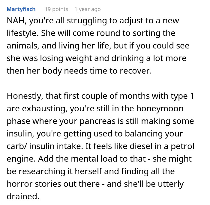 Text discussing the challenges of adjusting to life with type 1 diabetes and the impact on daily chores. Text discussing the challenges of adjusting to life with type 1 diabetes and the impact on daily chores.