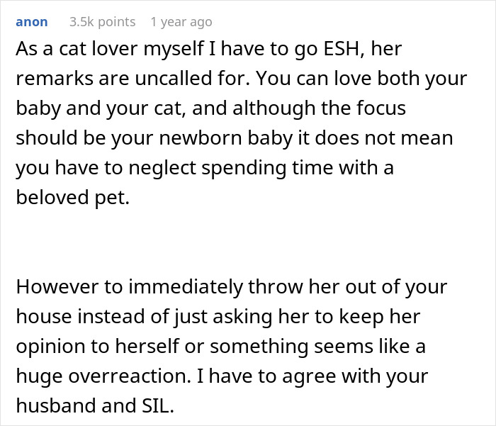 Text post discussing a new mom balancing time between her baby and a cat, criticizing an aunt's comments. Text post discussing a new mom balancing time between her baby and a cat, criticizing an aunt's comments.