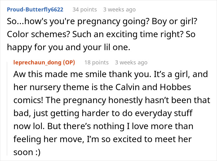Reddit conversation about pregnancy, nursery themes, and excitement. Reddit conversation about pregnancy, nursery themes, and excitement.