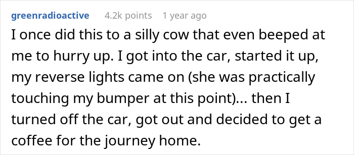 Text comment about a grocery loading incident at Costco, highlighting a slow-motion encounter with an impatient driver. Text comment about a grocery loading incident at Costco, highlighting a slow-motion encounter with an impatient driver.