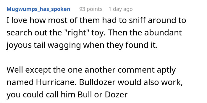 Text discussing dogs searching for toys, with a humorous mention of a dog named Hurricane or Bulldozer. Text discussing dogs searching for toys, with a humorous mention of a dog named Hurricane or Bulldozer.