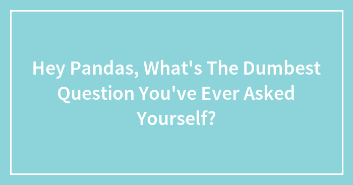 Hey Pandas, What’s The Dumbest Question You’ve Ever Asked Yourself? (Closed)