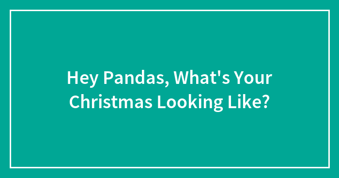Hey Pandas, What’s Your Christmas Looking Like? (Closed)