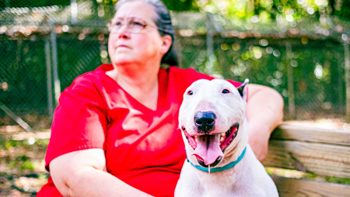 Trooper, Dog Tied To Fence During Hurricane Milton, Finds Forever Home As Ex-Owner Awaits Trial