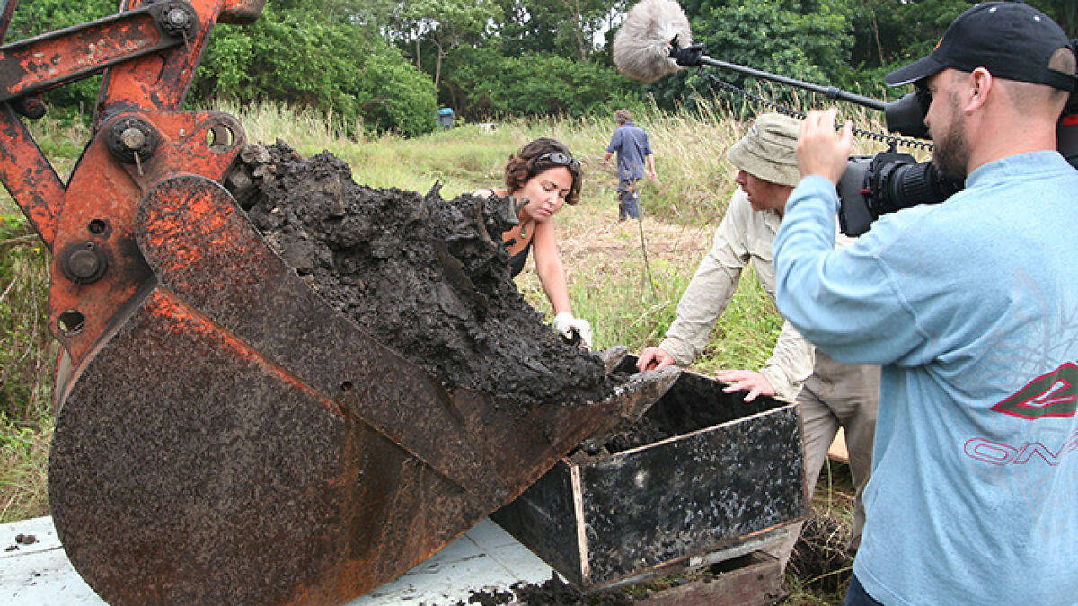 Scientists Want To Resurrect Woolly Mammoth, Dodo Bird, And Tasmanian Tiger To Help Biodiversity
