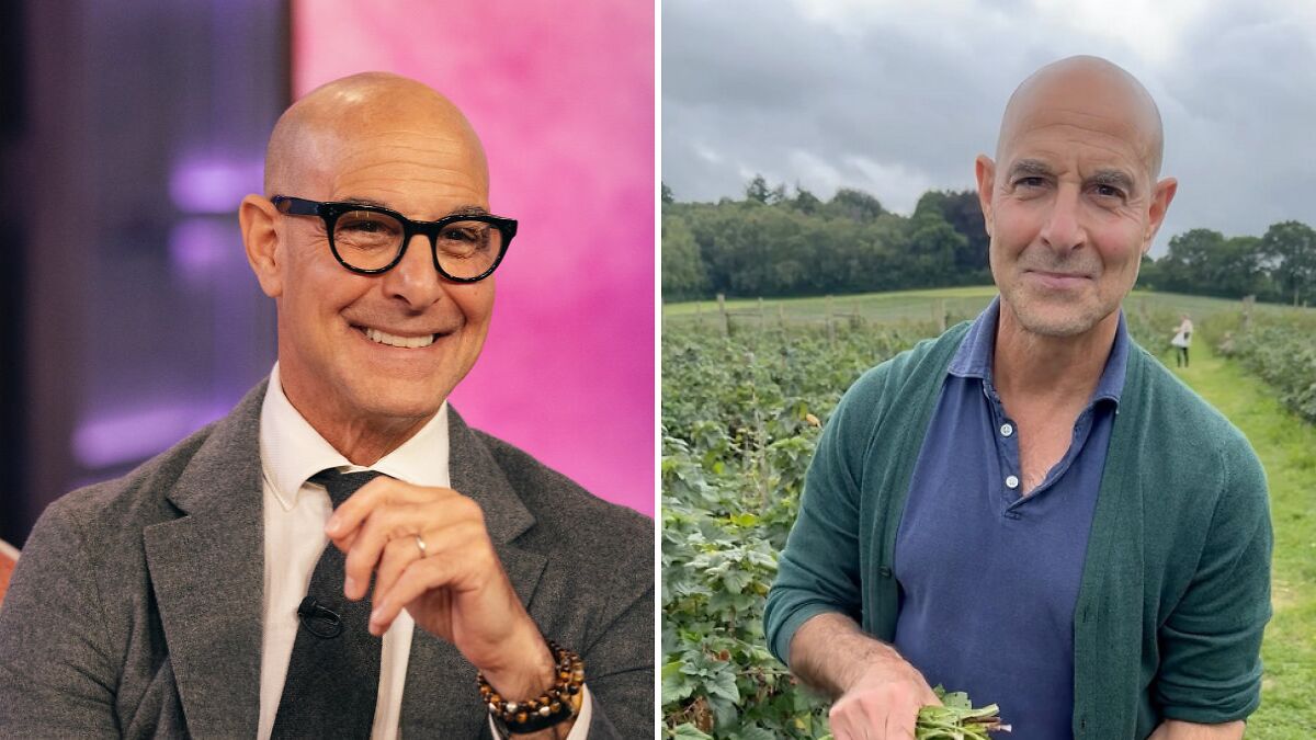 “Insanely Hot”: Internet Swoons Over Throwback Photo Of Stanley Tucci When He Had Hair
