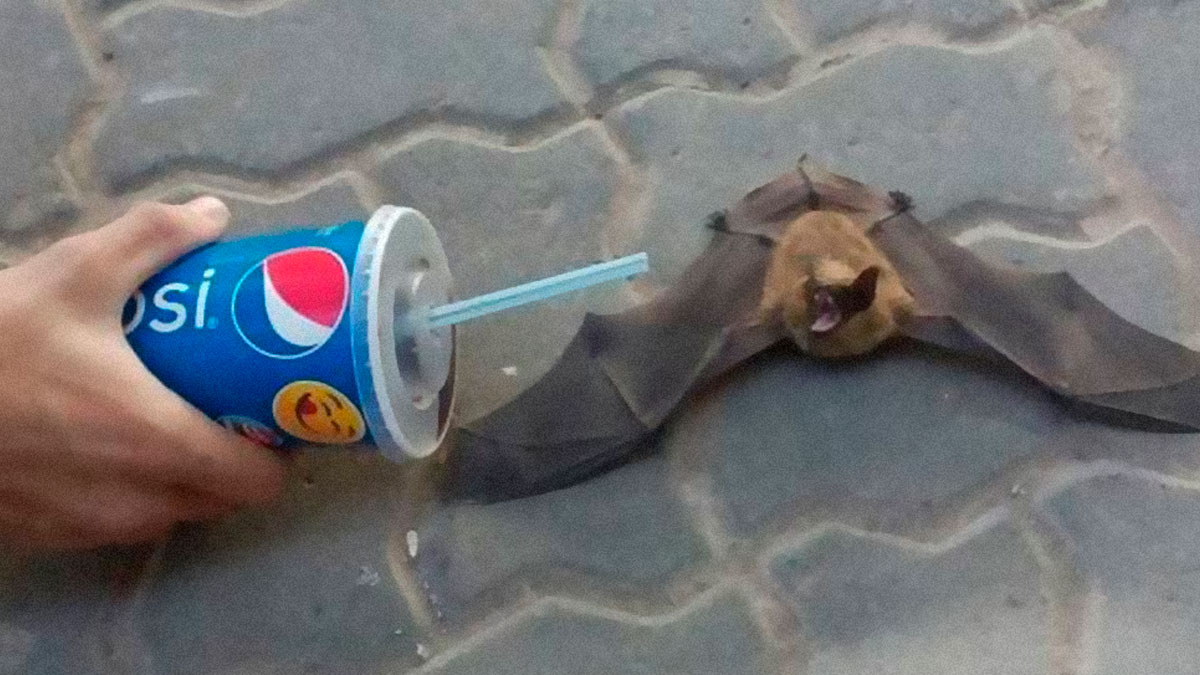 Funny Memes With A Twist Of Horror, As Shared On This Instagram Page