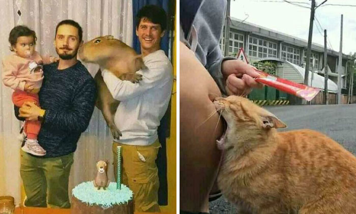 50 張「祝福圖片」可以讓你的一天變得更好(新圖片)